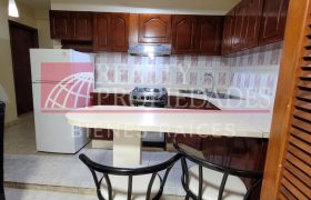 CÓMODO APARTAMENTO COMPLETAMENTE AMOBLADO EN ALQUILER